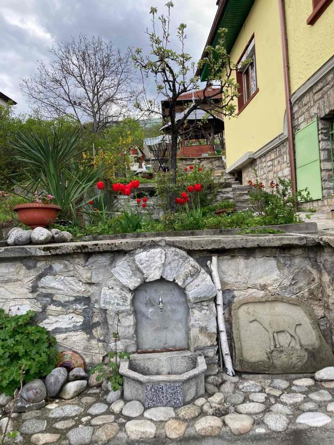 Vila Venera Velingrad Esterno foto