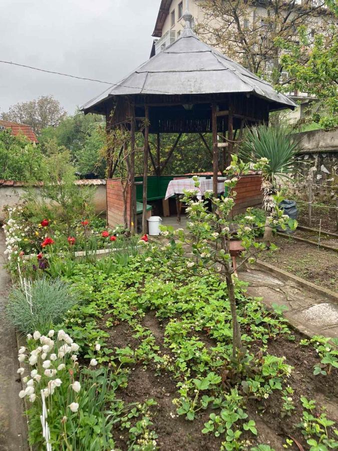 Vila Venera Velingrad Esterno foto